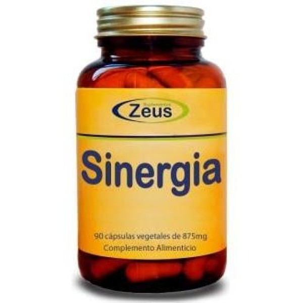 Sinergia 90Cap. 2