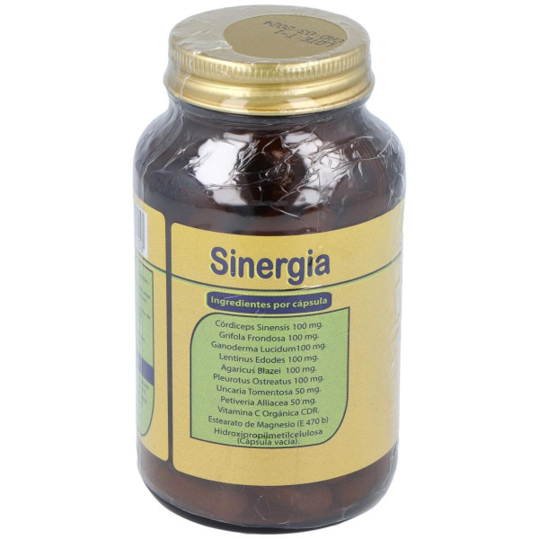 Sinergia 90Cap. 2