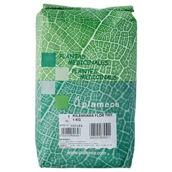 Plameca Milenrama Flor Triturada 1Kg