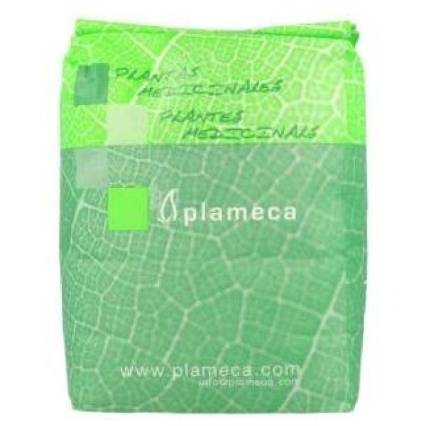 Plameca Te Verde Hierba Hoja Ent 1Kg