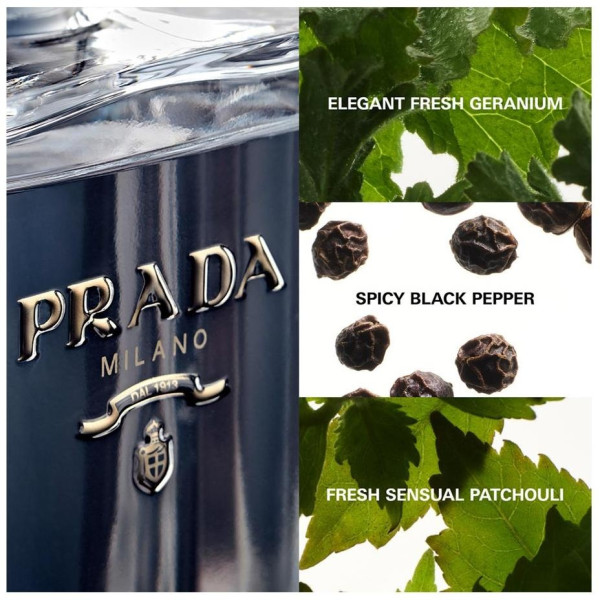 L'Homme Prada Eau De Toilette Vaporizador 100 Ml