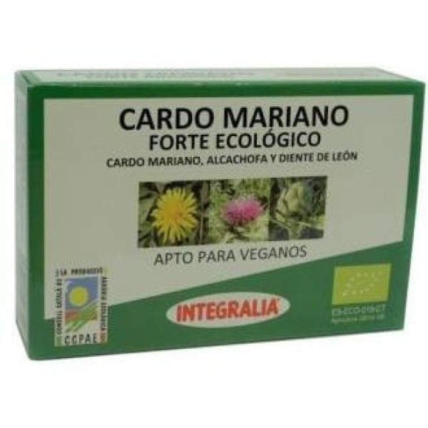 Cardo Mariano Forte 60C (Integralia)