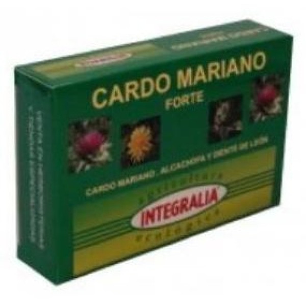 Cardo Mariano Forte 60C (Integralia)