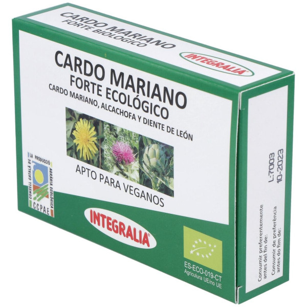 Cardo Mariano Forte 60C (Integralia)