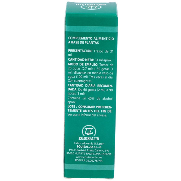 Pai-11 Holopai (Circulacion Cerebral)