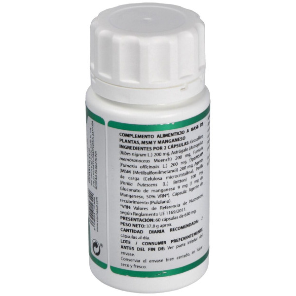 Holofit Grosellero 60Cap.