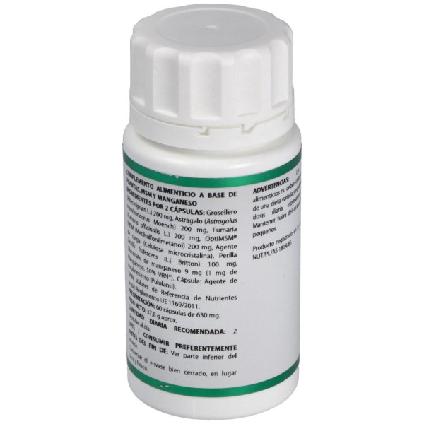 Holofit Grosellero 60Cap.