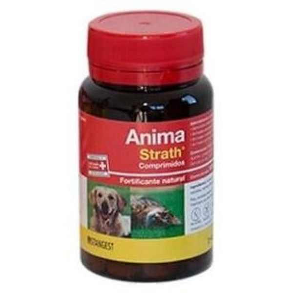 Anima Strath Perros Y Gatos 120Comp.