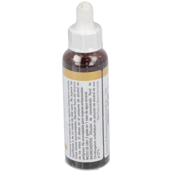 Star Of Bethlehem 20Ml.