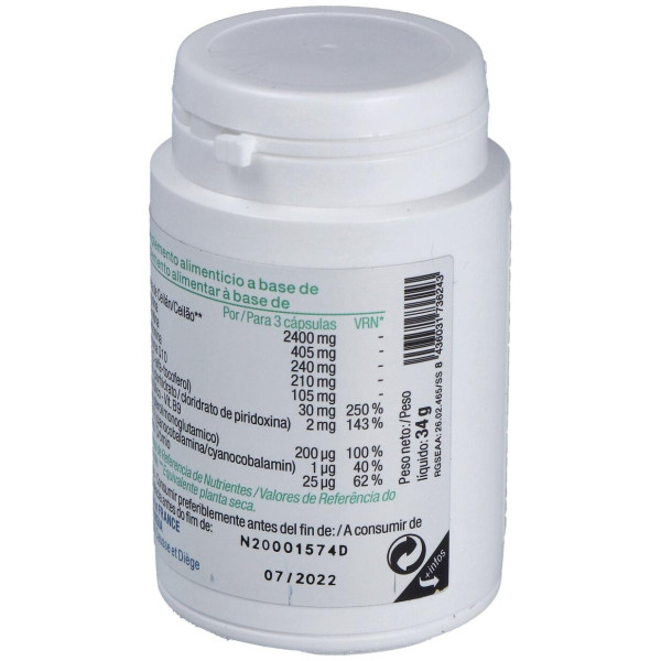 Nutergia Vecti Pur 60 Cap