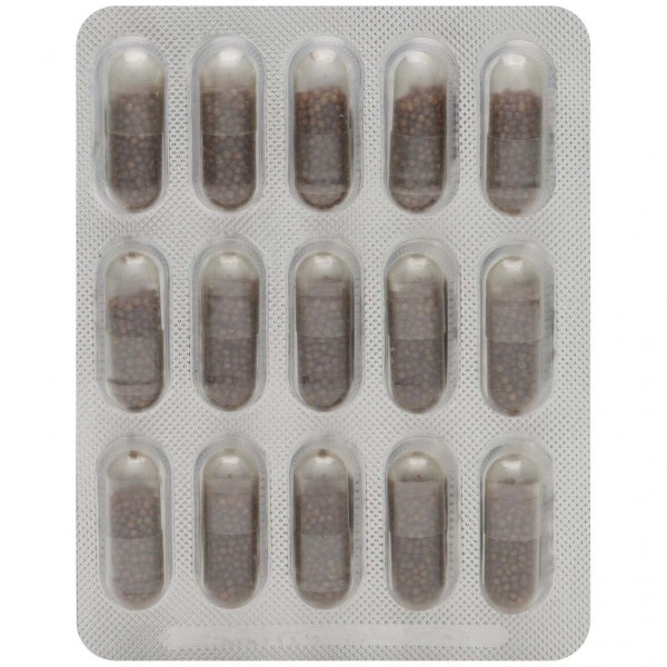 Neovital Reishi Neo 60 Cápsulas
