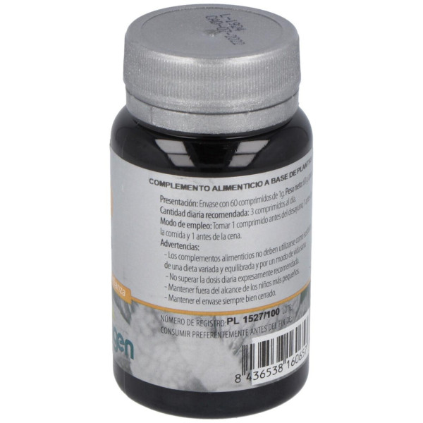 Erlingen Izar 33 60Comp