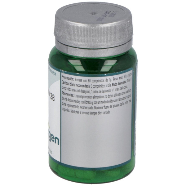 Erlingen Definido 28 60Comp