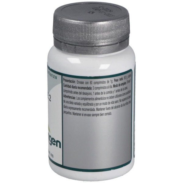 Erlingen Base 2 60Comp