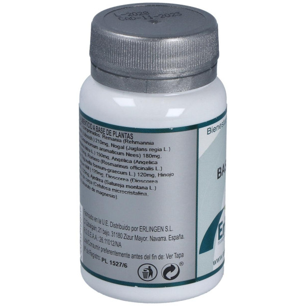 Erlingen Base 4 60Comp