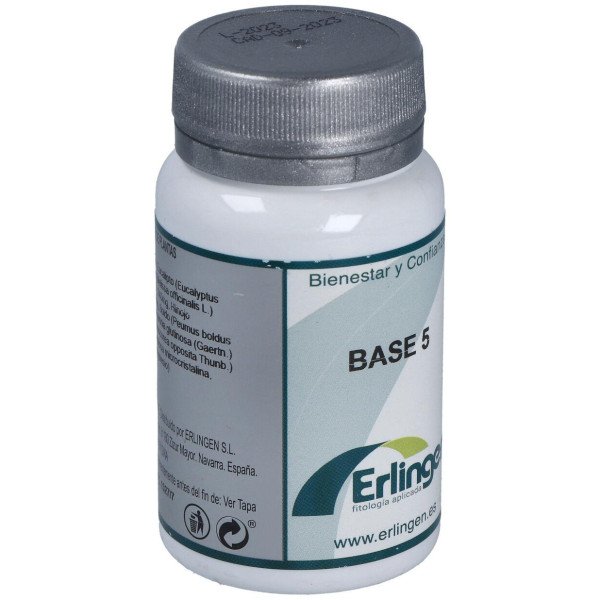 Erlingen Base 5 60Comp