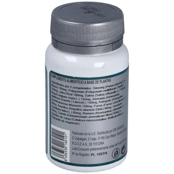 Erlingen Base 6 60 Cpr