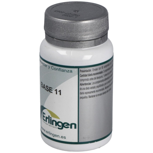 Erlingen Base 11 60Comp