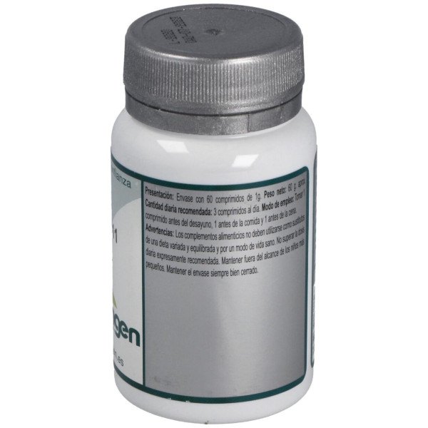 Erlingen Base 11 60Comp