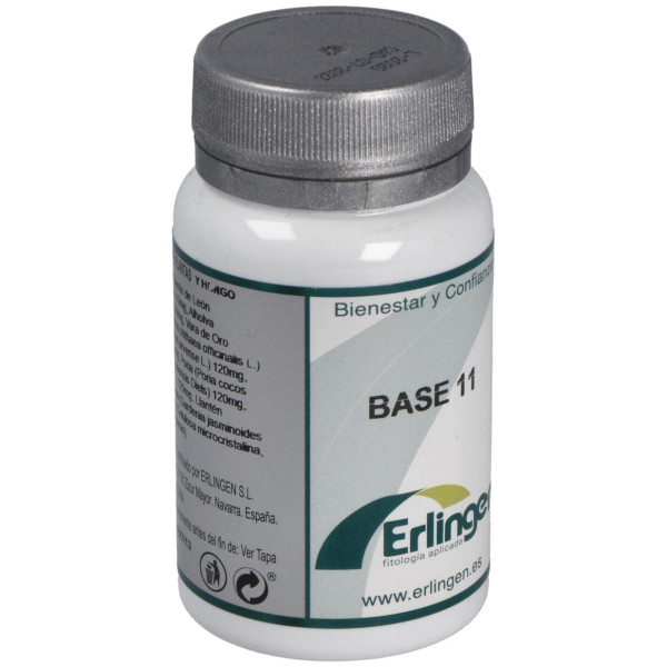 Erlingen Base 11 60Comp