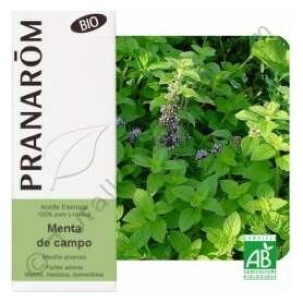 Menta Campo Aceite Esencial Alimentario Bio 10Ml.