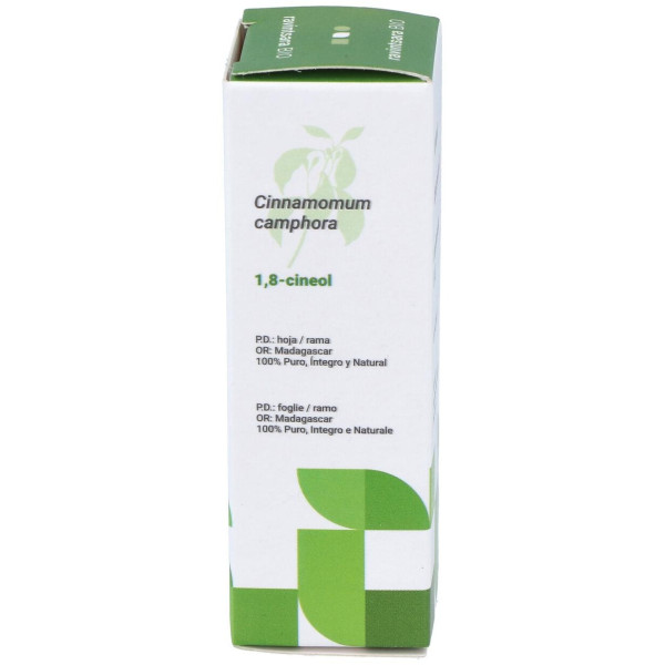 Ravintsara Aceite Esencial Alimentario Bio 10Ml.