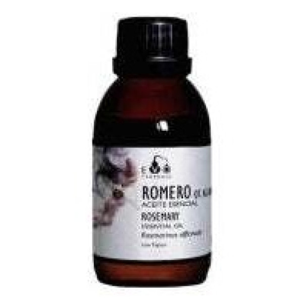 Terpenic Romero Alcanfor Bio Aceite Esencial 100Ml