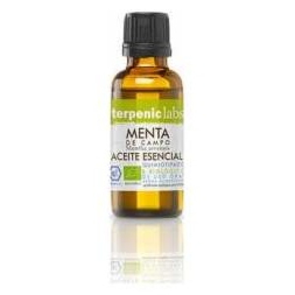 Menta Campo Aceite Esencial Bio 30Ml.