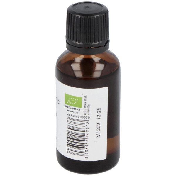 Terpenic Aceite Esencial Romero Alcanfor 30Ml