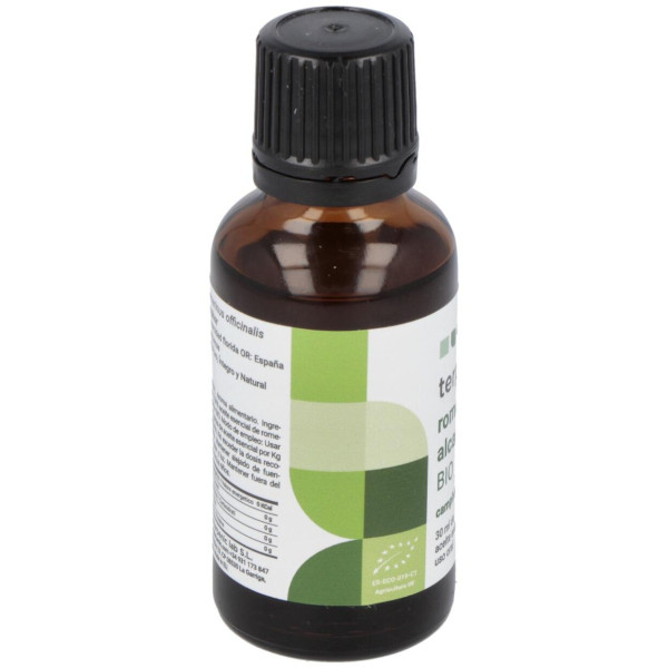 Terpenic Aceite Esencial Romero Alcanfor 30Ml