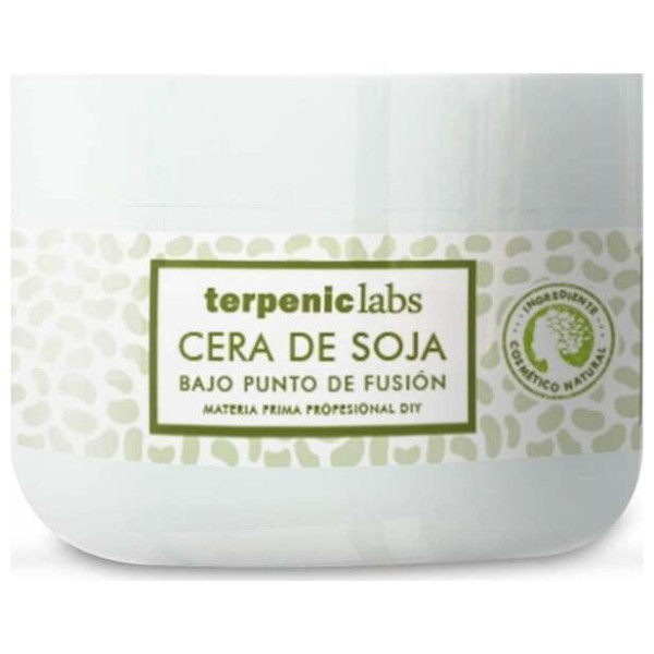 Terpenic Cera De Soja Bpf 250G