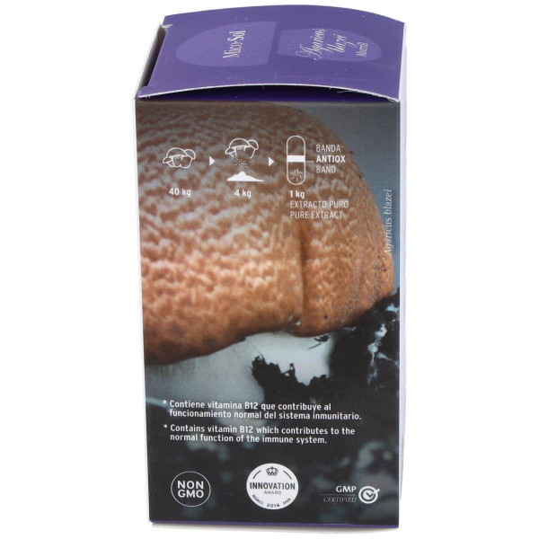 Mico Sol (Champiñon Del Sol) Hdt 70Cap. 2