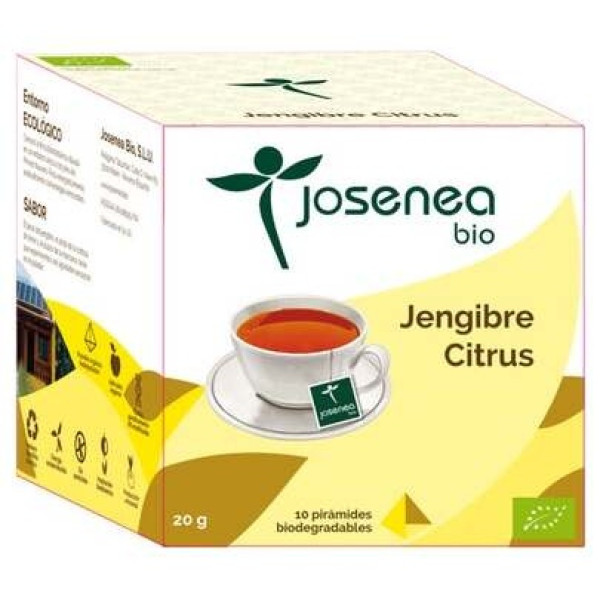 Jengibre-Citrus 10Piramides Ensobradas Bio