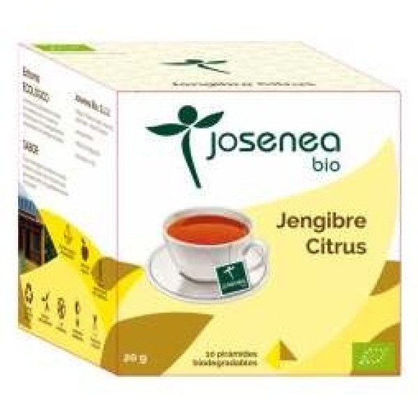 Jengibre-Citrus 10Piramides Ensobradas Bio