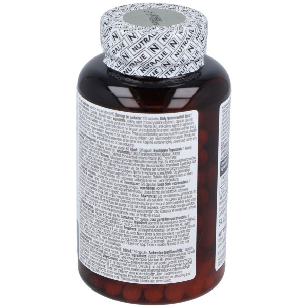 Zinc + Vitamina B6 120Cap.