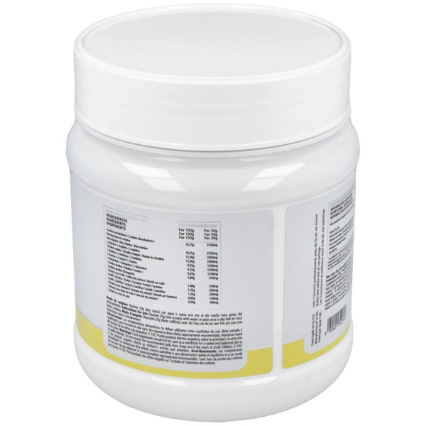 N.O. Ironcore Limon 480Gr.