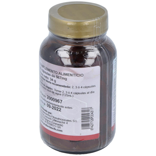 Fgb Complex (Fungibacter) 60Cap. 2