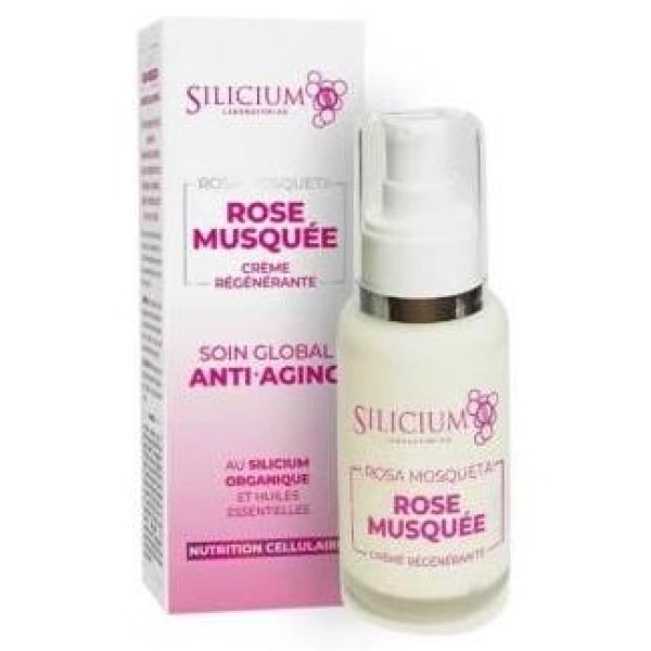 Silicium Rosa Mosqueta Crema 50Ml.