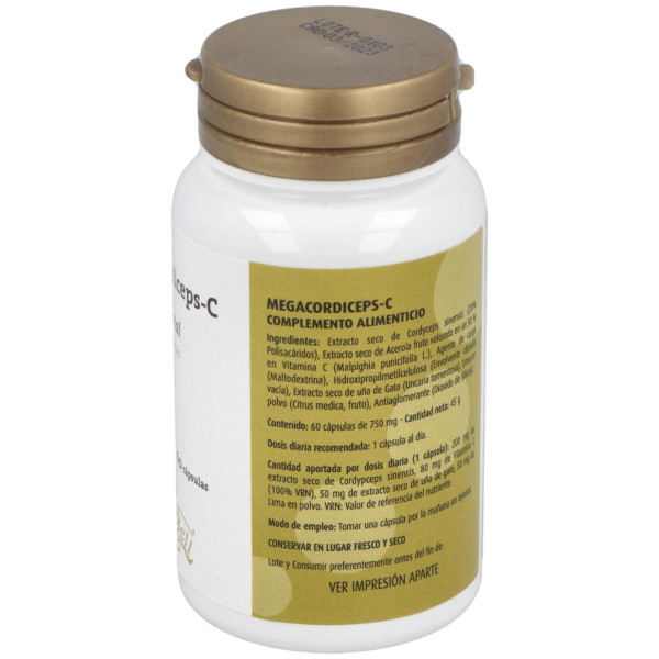 Megacordiceps C (Oruga Vegetal) 60Cap.