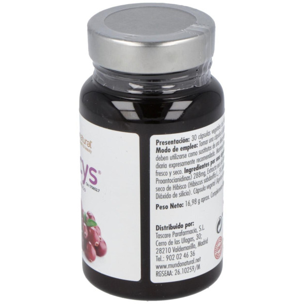 Mundo Natural Neocys® 30 Cápsulas