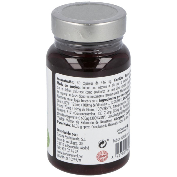 Mundonatural Enervital Hierro 30Caps