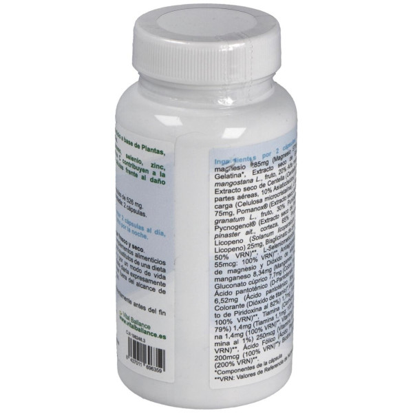 Vital Ballance Antiox Forte 60Caps