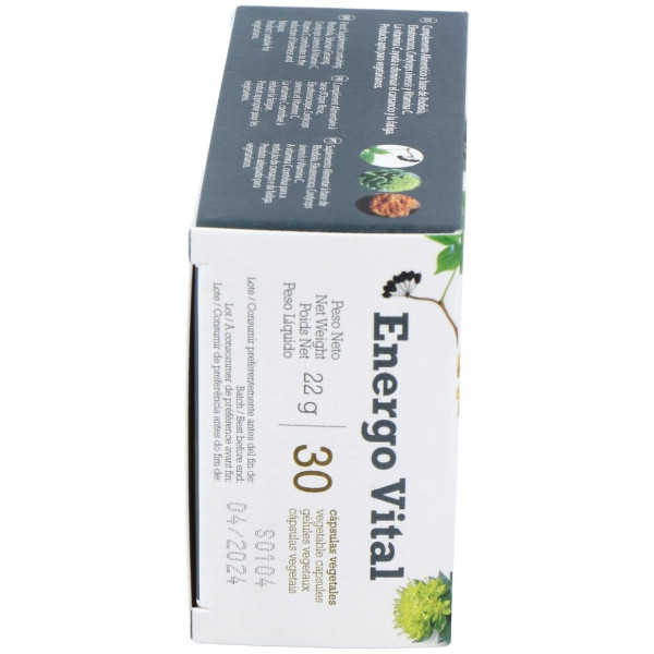 Betula Energo Vital 30Caps