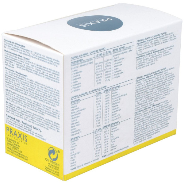 Am-Vit (Aminoac.+Vit+Minerales+Oligoel) 100+24Comp