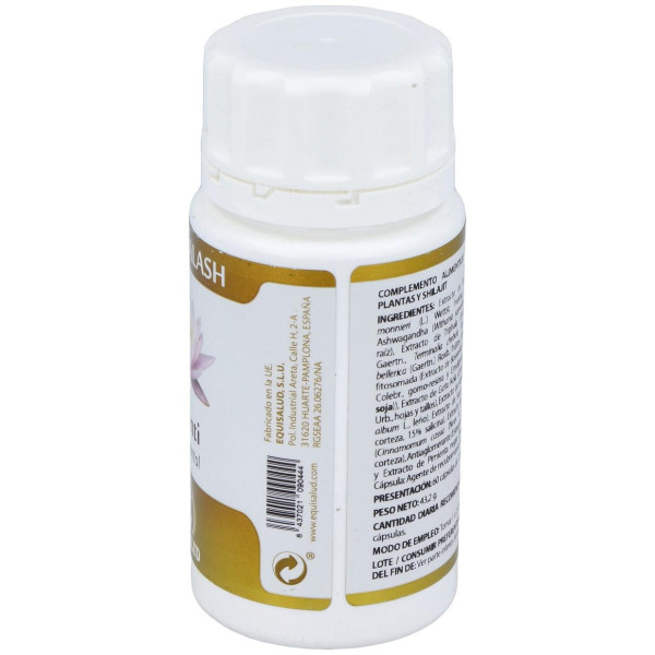 Yoga Kalash Shanti Paz Mental 60Cap.