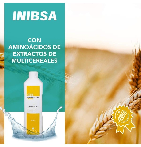 Gel Dermatológico Inibsa PH 5.5 Multicereales, 1 L. - Perrigo