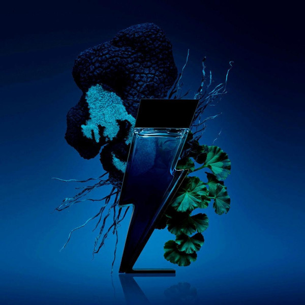 Bad Boy Cobalt Edp Vapo 50 Ml