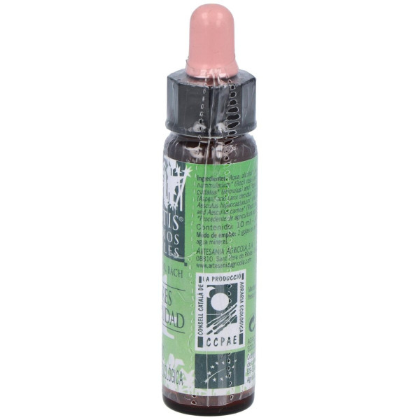 Remedio Plantis Nº 4 Temores-Inseguridades 10Ml.