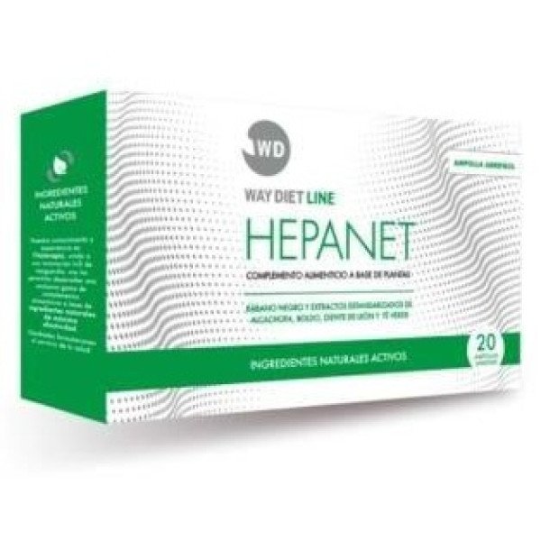 Hepanet 20Amp.