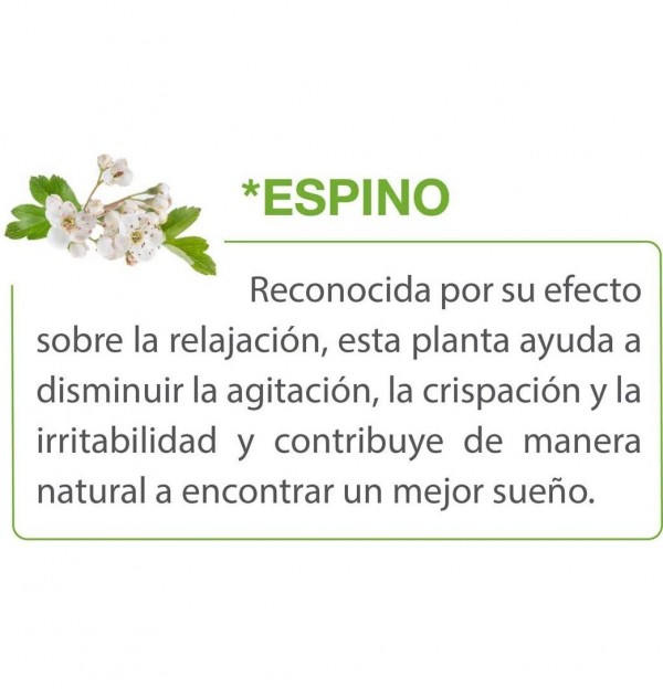 Passiflorine (1 Envase 125 Ml)